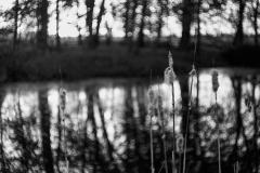 2_0637-17 2_0637-17