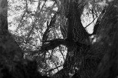 2_0637-20 2_0637-20